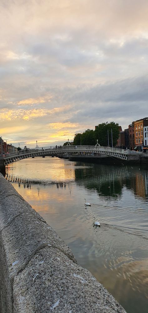 Ha'penny Bridge in Dublin, Ireland Ha Penny Bridge Dublin, Ha'penny Bridge Dublin Ireland, Ha'penny Bridge, Ireland Dublin Aesthetic, Ireland Living, Dublin Summer, Dublin Ireland Aesthetic, Dublin Photography, Dublin Aesthetic