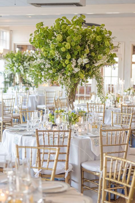 The design scheme was inspired by trees, meadows, and nature. “I was so happy with the result. It looked like springtime indoors!” shares the bride. Tall Centerpiece, Honeymoon Registry, Indoor Tree, Wedding Tree, Indoor Trees, Tall Centerpieces, Wedding Inside, Tree Wedding, Indoor Wedding