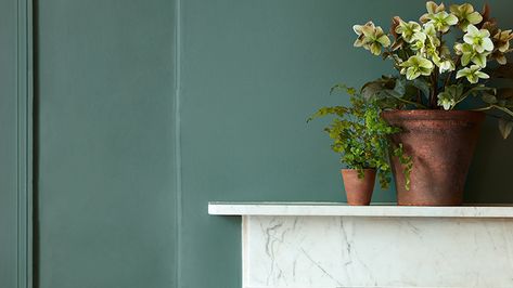 Distemper Paint | Soft Distemper | Little Greene Deep Green Paint, Distemper Paint, British Paints, Masonry Paint, Luxury Green, Traditional Paint, Green Paint Colors, Little Greene Paint, Teal And Grey