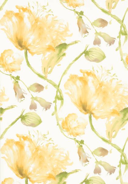 TUILERIES, Yellow, AT34156, Collection Zola from Anna French Construction Wallpaper, French Wallpaper, Anna French, Wallpaper Purple, View Wallpaper, Wallpaper Rolls, Yellow Wallpaper, Wallpaper Bedroom, Flower Backgrounds