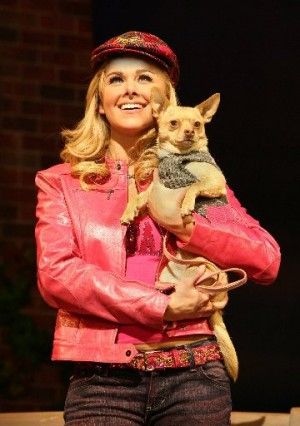 Stages St. Louis announces 2013 lineup Legally Blonde Broadway, Laura Bell Bundy, Elle Woods Legally Blonde, Legally Blonde Musical, Broadway Costumes, Musical Plays, Elle Woods, Culture Club, Broadway Theatre