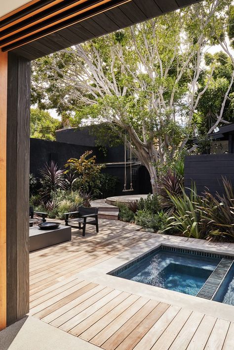 This Modern Home Tour Is a Slice of Australia in Venice, Los Angeles Venice Beach House, Venice House, California Backyard, Ficus Tree, Futurism, Indoor Outdoor Living, Venice Beach, Backyard Landscaping Designs, Small Backyard