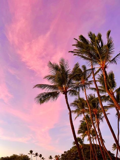 Golden Hour Nature, Aesthetic Beach Sunset, The Beach Sunset, Painted Skies, Sunsets Hawaii, Pretty Sunsets, Summer Aesthetic Beach, Pink Island, Beach Girl Aesthetic