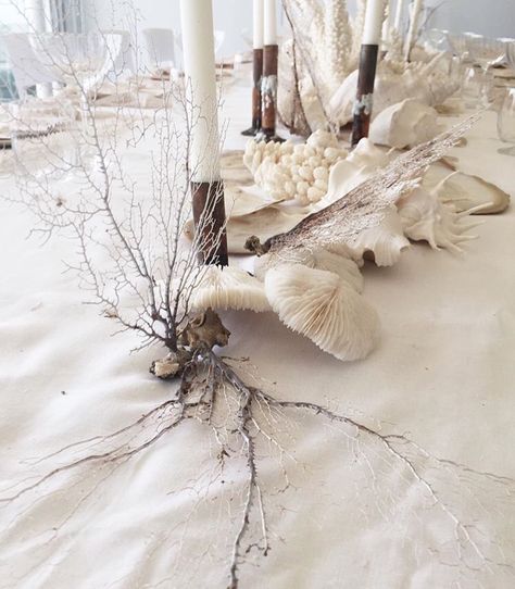 Coral Bondi Icebergs, Corporate Event Design, Beachy Wedding, Yacht Wedding, Sea Wedding, Coastal Dining, Flower Photoshoot, Dinner Party Table, Wedding Elements