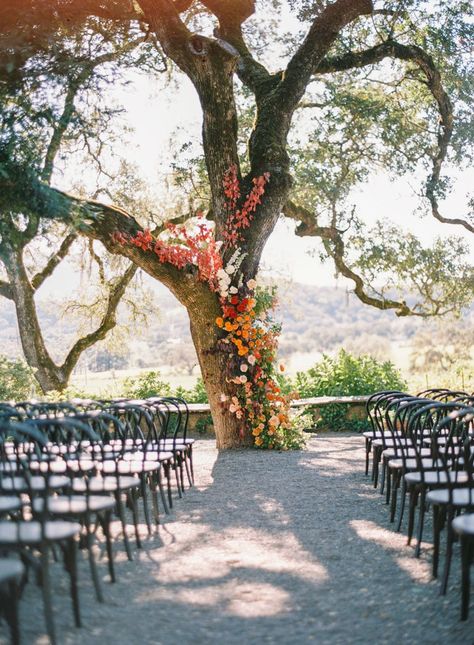 Tree Ceremony Backdrop, Wedding Tree Ceremony, Wedding Tree Flowers, Flowers On Tree Wedding, Tree Wedding Alter, Wedding Alter Backdrops, Tree Decorations Outdoor Wedding, Tree Flowers Wedding, Tree Arch Wedding