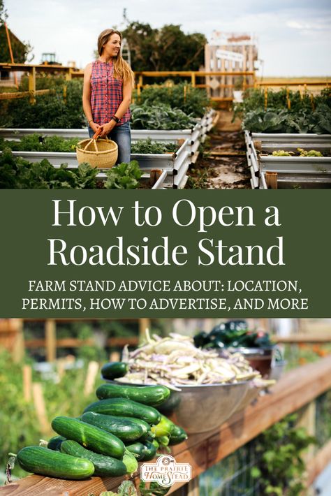 How to Open a Roadside Stand Vegetable Stands Roadside, Farm Side Hustles, Roadside Market Stand, Farm Stand Shed, Farm Stand Items To Sell, Roadside Stand Ideas, Flower Stand Ideas Farmers' Market, Farm Stands Roadside, Roadside Farmstand