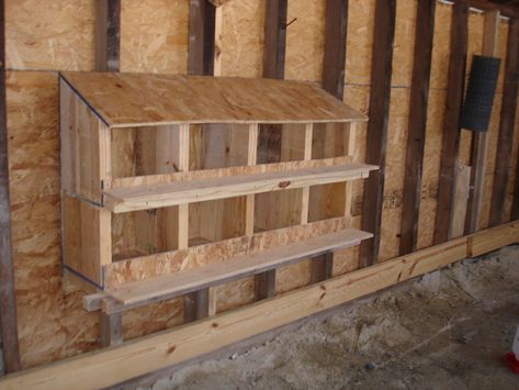 21 DIY Nesting Box Plans and Ideas You Can Build in One Day Diy Pool Ideas, Garden Boxes Diy, Chicken Nesting Boxes, Garden Boxes Raised, Chickens And Ducks, Coop Design, Chicken Houses, Raise Chickens, Chicken Coop Designs