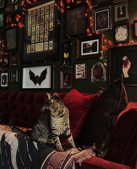 Dark Boho House Aesthetic, Vampy Living Room, Spooky Room Ideas Bedrooms, Eclectic Maximalist Living Room, Goth Cottagecore Home Decor, 70s Goth Aesthetic Home, Funky Living Room Aesthetic, Rocker Living Room, Vampy Home Decor