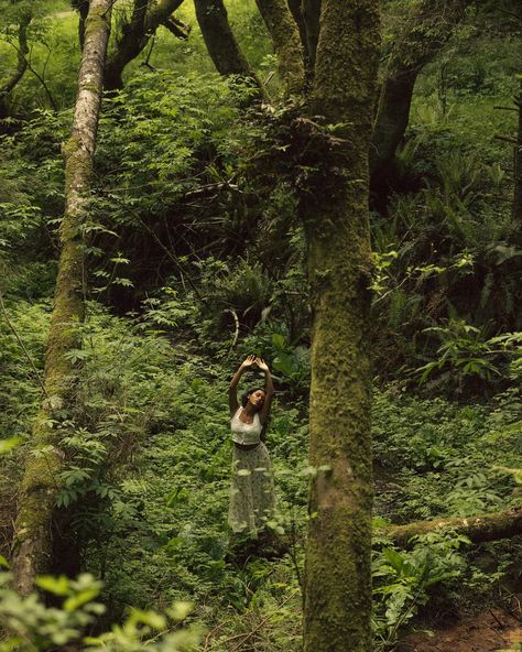 Got to spend an afternoon pretending I was a forest fairy exploring distant lands with @sona.co.photo & @karalaynebeckerphotography 🤎 Forest Pool, Forest People, Forest Bathing, Forest Photography, Forest Fairy, Florida, Forest, Pool, Photographer