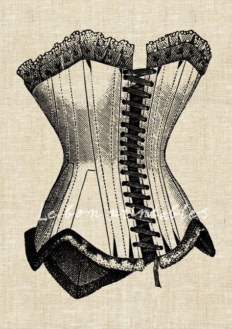 Lace Corset Drawing, Corset Sketch, Types Of Corsets Illustration, Corset Illustration, Corset Drawing, Corset Sketch Fashion Illustrations, Victorian Corset Flossing, Corset Art, Vintage Corsets