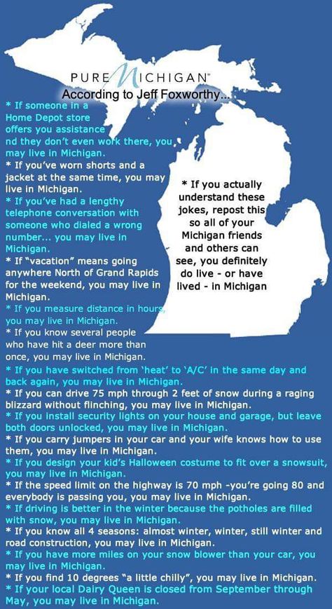 Michigan Facts, Jeff Foxworthy, Detroit History, Michigan Girl, Michigan Road Trip, Michigan Art, Michigan Vacations, Michigan Travel, State Of Michigan