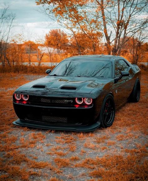 Vision Board Car, Dodge Srt Demon, Car Playlist, Car Date, Cars Decor, Car Decorating, Decorating Car, Old School Muscle Cars, Dodge Hellcat