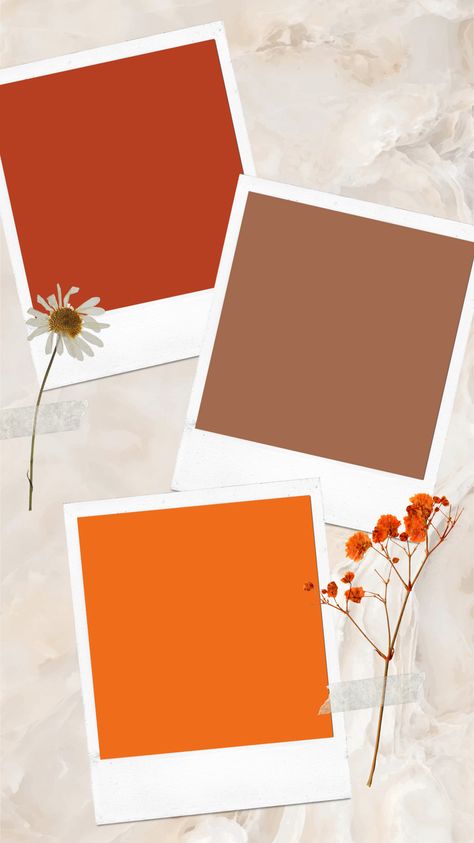 Polaroid and dried flowers background, perfect for social media stories! Add your own text or photos to the polaroids in instagram stories! #socialmedia #template Frames Instagram Stories, Background Photo For Instagram Story, Thankful Instagram Story Template, Thanksgiving Instagram Story Template, Insta Photo Template, Fall Instagram Templates, Thanksgiving Templates Instagram, Ig Post Background, Cute Templates Background