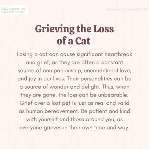 Losing My Cat Quotes, Quotes About Loosing Your Cat, Losing Your Pet Quotes Cats, Poetry About Losing A Pet, Quotes About Losing A Cat, Losing Cat Quotes, Losing Pets Quotes Cat, Cat Passing Quotes, Childhood Pet Loss