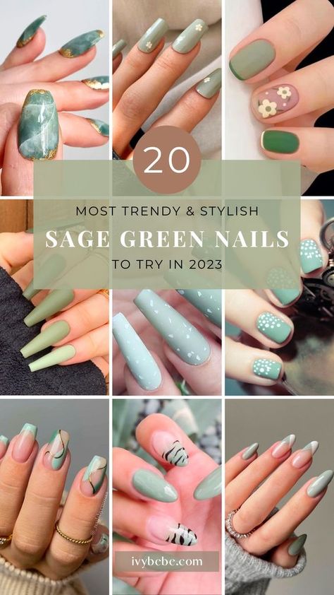 Green And Cream Nail Designs, Green Nail Shades, Sage Green And Beige Nails, Sage Green Nails Design, Sage Green Fall Nails, Sage Nails Design, White And Green Nails, Sage Nails, Sage Green Nails