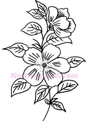 hand drawn flower embroidery design Embroidery Patterns Templates, Floral Embroidery Patterns Templates, Floral Embroidery Patterns, Basic Embroidery Stitches, Hand Embroidery Tutorial, Learn Embroidery, Embroidery Flowers Pattern, Silk Ribbon Embroidery, Crewel Embroidery