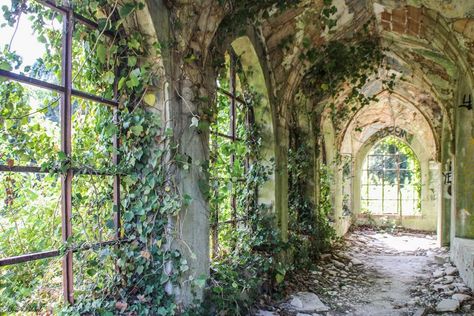 Abandoned Places Wallpaper Desktop, Victorian Greenhouses, Castle Aesthetic, Castle Garden, Theme Background, Biome, Least Favorite, Fantasy Aesthetic, U Can