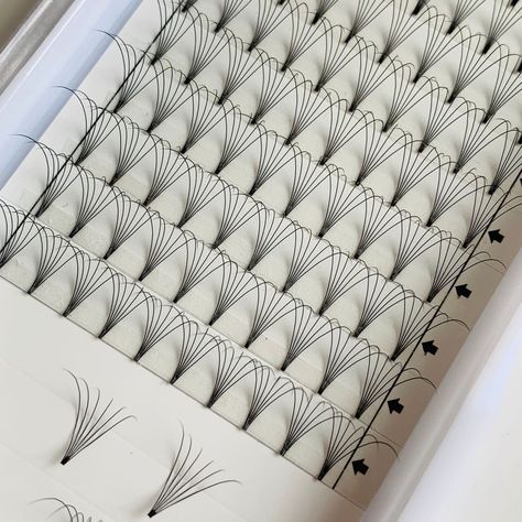 Pre made volume fans lash extension,big trays,3,4,5,6,7,8,10d, big stock,contact with me to order. WhatsApp 86 13589275732 #premadefans#premadefanlashes#eyelashextension#fanlashes#5dfanlashes#5dpremadefanlashes#lashextensionfans#makeup#extensionfans Lash Extension, Lash Extensions, Eyelash Extensions, Eyelashes, Lashes, Tray, Fan, Makeup, Make Up