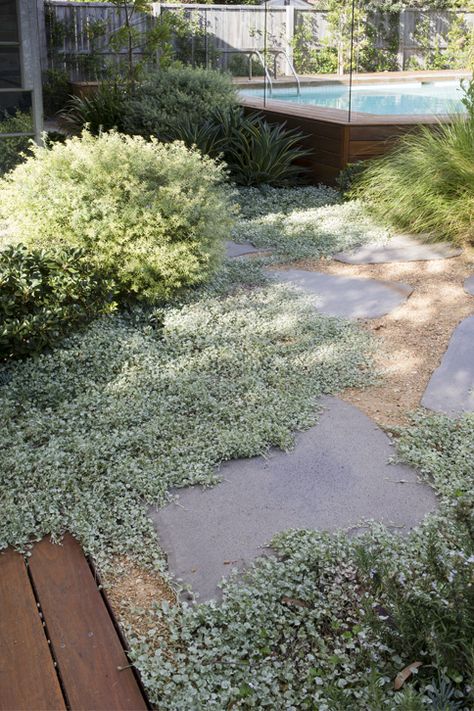 _54W8618 Peter Fudge, Garden Pools, Truck Garden, Australian Native Garden, Dry Garden, Alpine Plants, Australian Garden, Meteor Garden 2018, Coastal Gardens