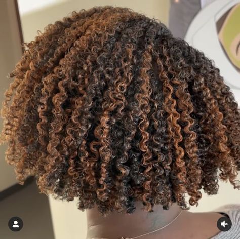 Hair Chestnut Brown, Brown Hair Curly, Auburn Brown Hair, Black Hair With Brown Highlights, Curly Hair Color Ideas, Curly Hair Color, Highlights Curly, Dyed Curly Hair, Natural Curly Hair Cuts