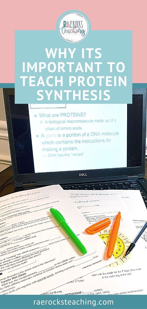 protein synthesis notes on a laptop and student outline. Protein Synthesis Notes, Protein Synthesis Activity, Why Protein, Apologia Biology, Biology Activity, School Biology, Transcription And Translation, Biology Classroom, Living Organisms