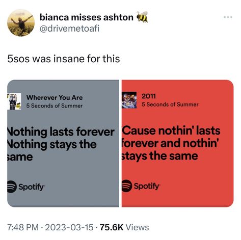 5sos Drawing, 5sos Tweets, Random Theme, 5sos Preferences, 5sos Concert, Jet Black Heart, 5sos Funny, Punk Rock Princess, 5sos Memes