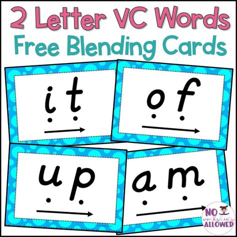 2 Letter VC Word Blending Cards Vc Words List, Consonant Words, Phonics Sight Words, Science Anatomy, Days Of The Month, Letter Blends, Counting To 100, Biblical History, Basic Addition