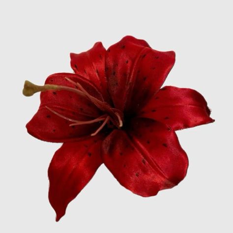 Red Tropical Flowers, Red Hibiscus Flower Aesthetic, Red Flower Icon, Pfp Flower, Tropical Flower Wallpaper, Red Flowers Png, Tropical Icons, Flower Pfp, Red Hibiscus Flower