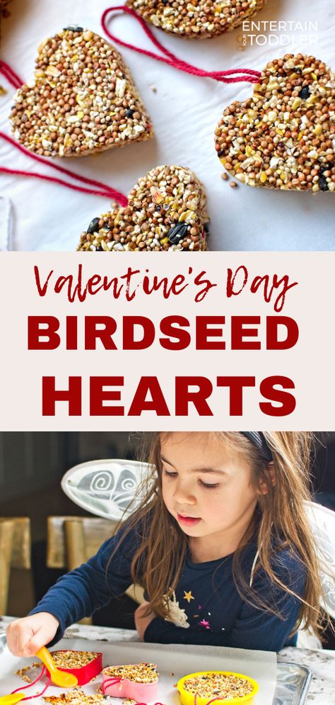 Nature Valentines Crafts For Kids, Valentine’s Day Crafts For Kids Preschool, Birdseed Heart Valentine, Love Bird Crafts For Kids, Valentine Bird Feeder, Valentines Bird Feeders, Heart Bird Feeder Craft, Heart Bird Feeder, Heart Shaped Bird Seed Feeder