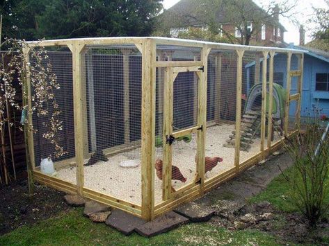 Lovely run, nice stone #homemadechickencoop #chickenrun Chicken Pens, Easy Diy Chicken Coop, Chicken Coop Large, Walk In Chicken Coop, Portable Chicken Coop, Chicken Pen, Diy Chicken Coop Plans, Chicken Coop Run, Coop Ideas