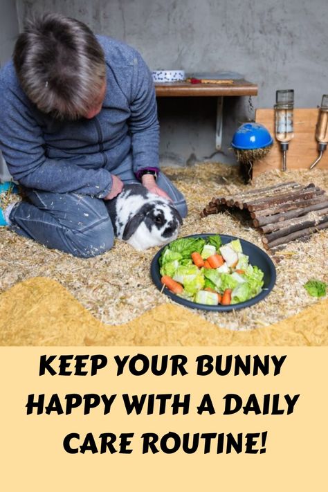 Discover the secrets to a happy and healthy rabbit with our comprehensive Rabbit Daily Care Routine! 🐇🌱 Learn how to create the perfect daily routine for rabbits, ensuring their well-being and happiness. 🕊️💖 From feeding tips to exercise ideas, we've got you covered on all aspects of bunny care. 🥕✨ Find out what is the daily routine of a rabbit and how you can incorporate it into your own schedule seamlessly. Rabbit Feeding Schedule, Taking Care Of Bunnies, Rabbit Essentials, Perfect Daily Routine, Daily Care Routine, Rabbit Feeding, Rabbit Diet, Bunny Care, Rabbit Care