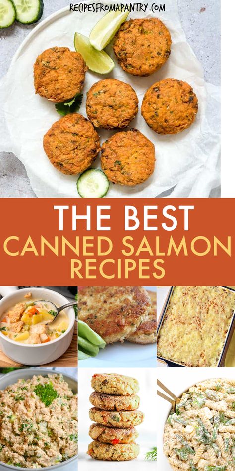 Salmon Macaroni Salad, Tinned Salmon Recipes, Pink Salmon Recipes, Canned Salmon Salad, Salmon Sushi Rolls, Salmon Soup, Canned Salmon Recipes, Quick Family Dinners, Salmon Croquettes