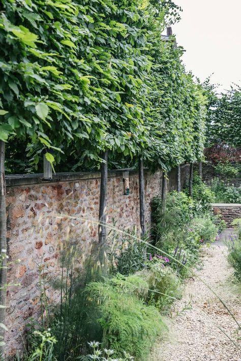 Georgian Garden, Heritage Garden, Classical Garden, Design A Garden, Australian Garden Design, Walled Gardens, Naturalistic Garden, Medicinal Garden, Planting Design