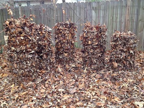 Store leaves Composting Leaves, Leaf Compost, Climber Plants, Lakehouse Ideas, Garden Hacks, Pole Beans, Garden Compost, Tomato Cages, Pepper Plants