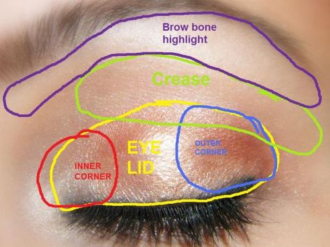 DROOPY-LIDS: Sweep a light bronzer through the crease of the eyelid, apply a highlighter above it to the brow. Blend the bronzer up to lift-up a heavy fold. SMALL EYES: open-up eyes by lining the bottom inner rim with a white or beige-colored pencil. With a dark pencil line along the upper and lower lash-line, smudge color up and outwards while layering with dark shadow, giving the illusion of larger eyes. Eyeshadow Step By Step, Apply Eyeshadow, Meagan Good, Applying Eye Makeup, Blending Eyeshadow, Hooded Eye Makeup, Eye Makeup Steps, Makeup Step By Step, How To Apply Eyeshadow