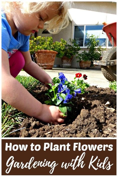 Gardening with Kids - How to Plant Flowers! Learn what supplies you need to plant flowers & prepare a garden bed with this step-by-step tutorial. | #RhythmsOfPlay #GardeningWithKids #SpringFlowers #HowTo #HowToPlantFlowers #GetOutside How To Plant Flowers, Gardening With Kids, Trendy Plants, Backyard Lighting, Garden Art Projects, Kids Outdoor, Beautiful Flowers Garden, Glass Garden, Ideas Garden