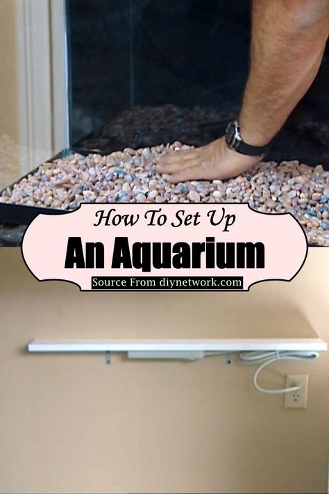 22 DIY Aquarium Projects That Are Full Of Creativity - DIYsCraftsy 75 Gallon Aquarium Ideas, 55 Gallon Fish Tank Ideas, Diy Aquarium Ideas, Homemade Aquarium, 29 Gallon Aquarium, 75 Gallon Aquarium, Aquarium Coffee Table, Large Fish Tanks, Wall Aquarium