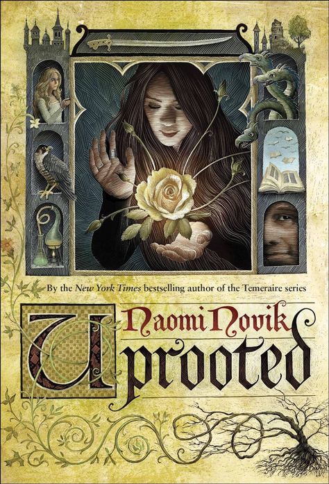 Uprooted Naomi Novik, Fairytale Retelling Books, High Fantasy Books, Naomi Novik, Fairytale Retelling, Ya Fantasy Books, Folk Stories, Fantasy Romance Books, Maggie Stiefvater