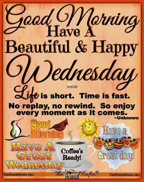 Weds Morning Quotes, Bless Wednesday, Wednesday Gif, Wednesday Video, Wednesday Morning Greetings, Weekly Blessings, Wednesday Morning Quotes, Wednesday Greetings, Psalms Quotes