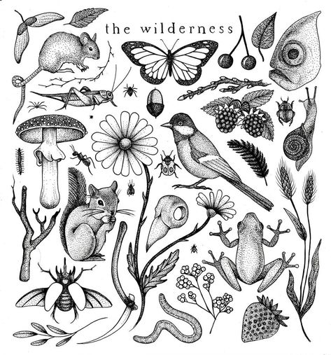 the wilderness flash sheet 🐞 I want to step up my dotwork game. If you want to get a tattoo of any of these pieces for cheap prices, hit me… Bug Patchwork Tattoo, Botanical Patchwork Tattoo, Paris Paloma, Ignorant Tattoo, Wilderness Tattoo, Tattoo 2022, Tattoos Creative, Tattoo Sleeve Filler, Nature Tattoo Sleeve