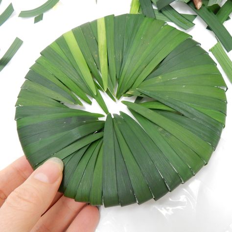 Tutorials - Fold a Grass Disk Floral Mechanics Flower Tutorial, Floral Mechanics, Floral Magnets, Classic Flower, Floral Art Design, Prom Designs, Deco Floral, Nature Crafts, Flower Tutorial