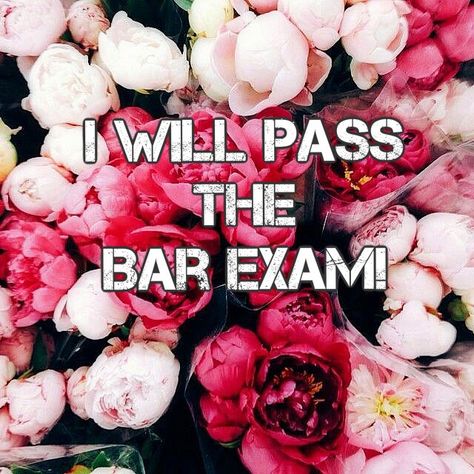 I will pass the bar exam Pass The Bar Exam Motivation, I Will Pass The Bar Exam, Pass Bar Exam, I Passed The Bar Exam, Bar Exam Prep Aesthetic, Bar Exam Motivation, Passing The Bar Exam, Pass The Bar Exam, Exam Pictures