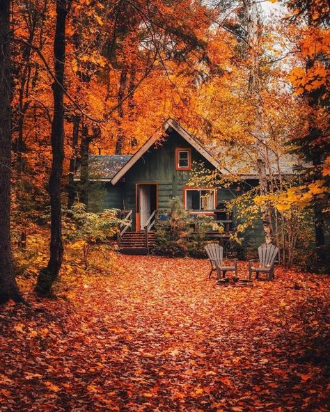 Campbell Core, Desenho Tom E Jerry, Autumn Scenes, Autumn Quotes, Autumn Scenery, Cabin In The Woods, Fall Pictures, Autumn Landscape, Autumn Colors