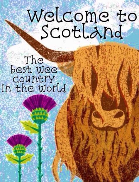 Scotland Study Abroad, Scotland Scrapbook, Scottish Quotes, Celtic Animals, Scottish Pride, Scottish Accent, Scottish Homes, Scotland Forever, Bonnie Scotland