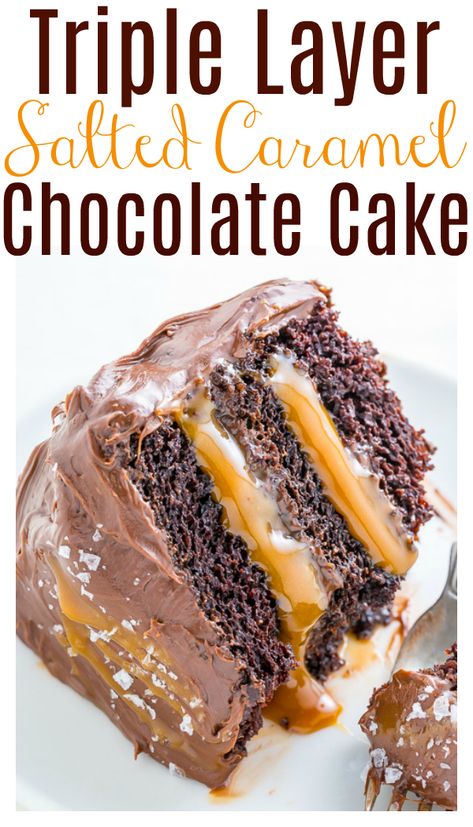 Salted Caramel Chocolate Cake - Baker by Nature Dessert Illustrations, Caramel Chocolate Cake, Fancy Deserts, Salted Caramel Chocolate Cake, Homemade Chocolate Frosting, Caramel Cake Recipe, Chocolate Caramel Cake, Dreamy Desserts, Chocolate Deserts