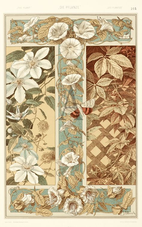 Art Nuovo Anton Seder, Fleurs Art Nouveau, Motifs Art Nouveau, Dollhouse Wallpaper, Mucha Art, Motif Art Deco, Art Nouveau Illustration, Art Nouveau Pattern, Art Nouveau Flowers