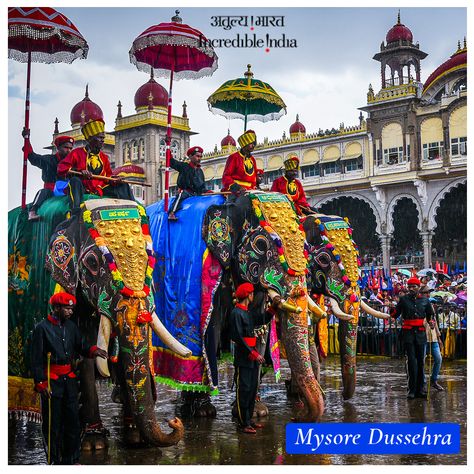 Mysore Ambari, Mysore Dasara, Hanuman Live Wallpaper, Dussehra Celebration, Magazine Cover Page, Mysore Palace, Elephant Photography, Celebration Images, Elephant Parade