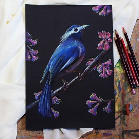 Soft Pastel Portrait, Bird Portrait, Crayons Pastel, Drawing Blue, Black Cat Painting, Modern Art Canvas Painting, Black Canvas Paintings, Beauty Drawings, Custom Portrait Painting