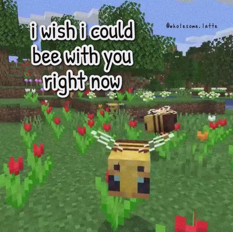 𝚆𝚑𝚘𝚕𝚎𝚜𝚘𝚖𝚎 𝙼𝚎𝚖𝚎���𝚜’s Instagram profile post: “someone requested quarantine based memes and someone said minecraft bees so,,, here you go :) ➖➖➖➖➖➖➖➖➖➖➖➖➖ tag someone you love 🔖 follow…” Wholesome Love, Minecraft Valentines, Mind Craft, Romantic Memes, Flirty Memes, Wanna Recreate, Wholesome Pictures, Memes For Him, Sweet Boyfriend