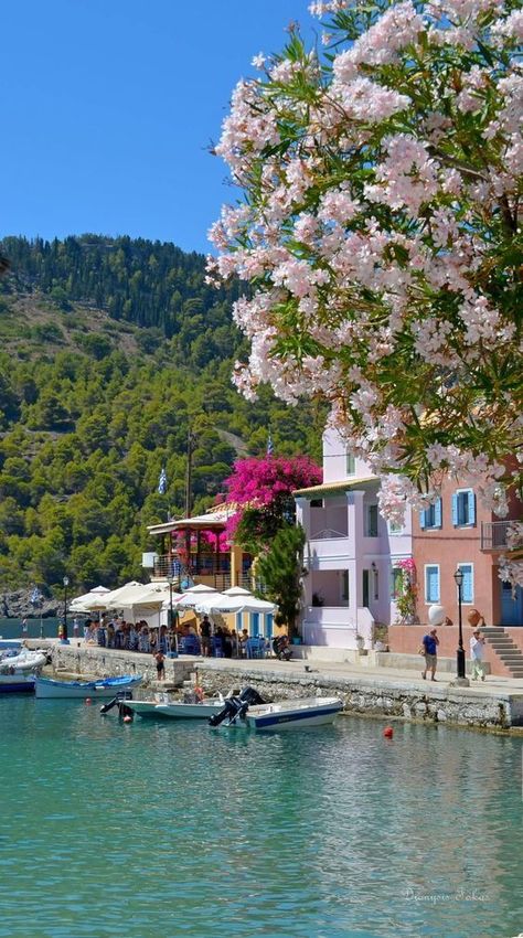 Assos Kefalonia, Grecia Santorini, Kefalonia Greece, Greek Island Hopping, Greece Pictures, Scenic Travel, Greece Vacation, Dream Travel Destinations, Beautiful Places To Travel